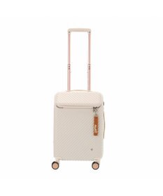 ACE BAGS & LUGGAGE HaNT ヘイヘイTR スーツケース 40L 機内持込  05180 ハント