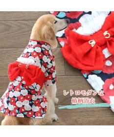 PET PARADISE 犬の服 夏 犬服 浴衣 椿柄 赤 【中型犬】 【大型犬】