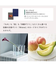 antina gift studio Mistral(ミストラル) e-order choice(カードカタログ) ＜Sable(セーブル)＞