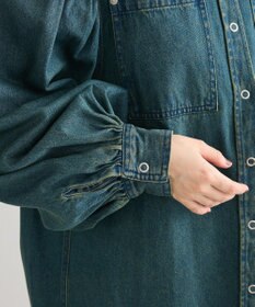 Green Parks ・ＳＵＧＡＲ　ＳＰＯＯＮ　ボリュームスリーブデニムシ