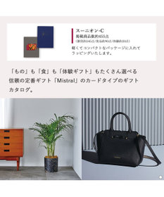 antina gift studio Mistral(ミストラル) e-order choice(カードカタログ) ＜Sounion(スーニオン)＞