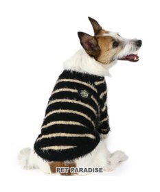 PET PARADISE J.PRESS シャギー風ニット 小型犬