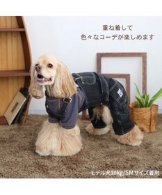 PET PARADISE Lee デニム オーバーオール 《ブラック》 中型犬 大型犬