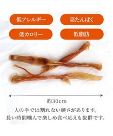 PET PARADISE 馬アキレス ジャーキー ロングジャーキー 3本入り