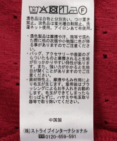 AMERICAN HOLIC フレンチスリーブ総レースプルオーバー