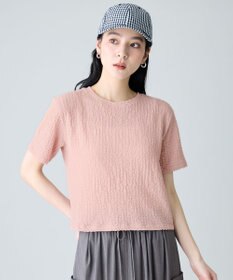 ANY L レースショート丈Tシャツ