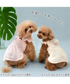 PET PARADISE ペットパラダイス エコメッシュ ワンピース《小花柄 ピンク》 小型犬