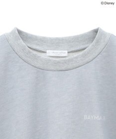 Green Parks １０ｔｈベイマックス／ドッキングプルオーバー