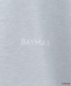 Green Parks １０ｔｈベイマックス／ドッキングプルオーバー