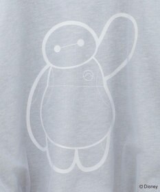 Green Parks １０ｔｈベイマックス／ドッキングプルオーバー