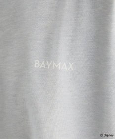 Green Parks １０ｔｈベイマックス／ドッキングプルオーバー