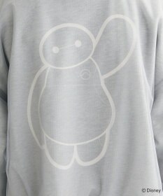 Green Parks １０ｔｈベイマックス／ドッキングプルオーバー