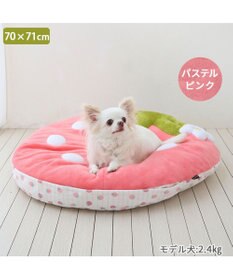 PET PARADISE ネット店限定 ペットパラダイス 春いちご クッション  M