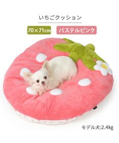 PET PARADISE ネット店限定 ペットパラダイス 春いちご クッション  M