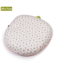 PET PARADISE ネット店限定 ペットパラダイス 春いちご クッション  M