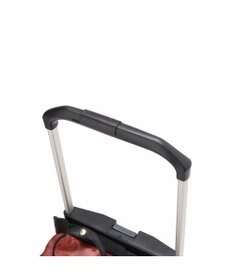 ACE BAGS & LUGGAGE soelte カランド2 お買い物キャリー ショッピングカート 24L 35985 ソエルテ