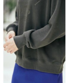 AMERICAN HOLIC ラグランロゴスウェット2