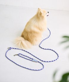 COQ HAPPY ARGYLE  ハンズフリーロングドッグリード