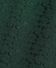 23区 【APPLAUDIR】オプティカルフラワーレース ドレス