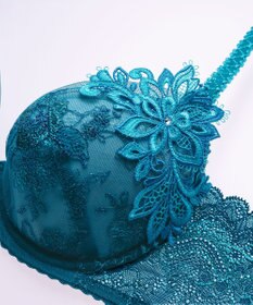 Wing Wing Lesiage　【2810シリーズ】　ブラジャー　ふっくらまる胸メイク　背中の段差軽減　ウイング／ワコール　PB2810