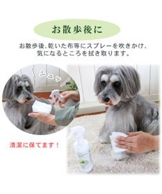 PET PARADISE ペット 消臭スプレー　エチケットウォーターｎ（ネイチャー） 300mL