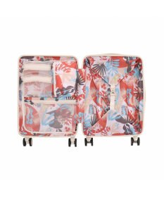 ACE BAGS & LUGGAGE HaNT ヘイヘイTR スーツケース 40L 機内持込  05180 ハント