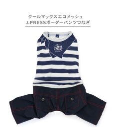 PET PARADISE J.PRESS エコメイドパンツつなぎ 小型犬