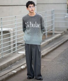 WEGO 【ユニセックス着用ITEM/MLサイズ展開】ファジーグラデーションプルオーバー