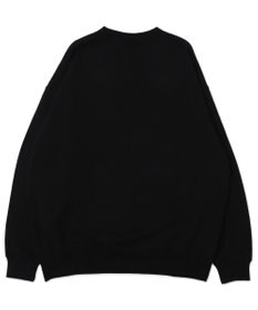 WEGO 【ユニセックス着用ITEM/MLサイズ展開】別注BENDAVISバブルロゴプルオーバー