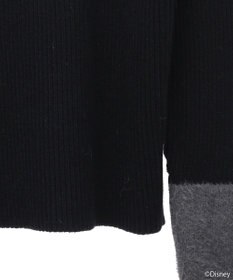 earth music&ecology Ｄｉｓｎｅｙ／フィガロ刺繍袖フェザーニット