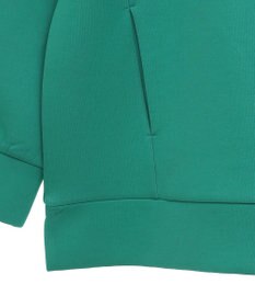 AMERICAN HOLIC ハーフＺＩＰポンチプルオーバー