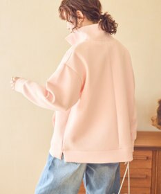 AMERICAN HOLIC ハーフＺＩＰポンチプルオーバー