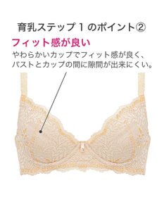 BRADELIS New York 【BRADELIS New York】ウェンディステップ１ブラ23S2 ふんわり包んで土台を作る育乳補整ブラ