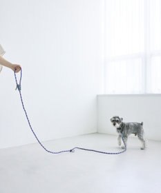 COQ HAPPY ARGYLE  ハンズフリーロングドッグリード