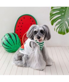 PET PARADISE  スヌーピー スイカポケット タンクトップ 小型犬