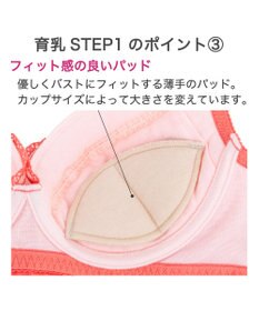 BRADELIS New York 【BRADELIS New York / 育乳補整ブラ・STEP1 集める】ウェンディステップ1ブラ25S1