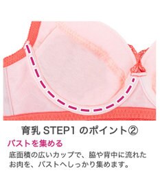 BRADELIS New York 【BRADELIS New York / 育乳補整ブラ・STEP1 集める】ウェンディステップ1ブラ25S1