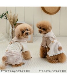 PET PARADISE ペットパラダイス くまちゃん ワンピース 小型犬