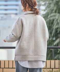 AMERICAN HOLIC ハーフＺＩＰポンチプルオーバー