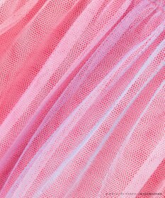 ANY KIDS 【any FAM×サーティワン アイスクリーム】うしろひらひらTシャツ