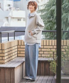 AMERICAN HOLIC ハーフＺＩＰポンチプルオーバー