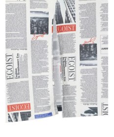 Green Parks ＥＧＯＩＳＴ　マガジンプリントスカート