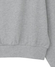 Green Parks １０１匹わんちゃん／クルエラオフショルスウェット