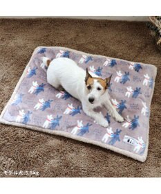 PET PARADISE リサとガスパール 遠赤外線 ボアマット 《 であい柄 》 (80×60cm)