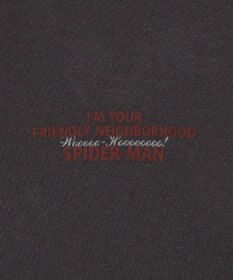 WEGO 【ユニセックス着用ITEM/SMLサイズ展開】MARVELグラフィックT（S）