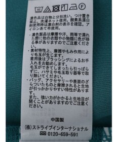 Green Parks カットジョーゼット裾フレアスカート