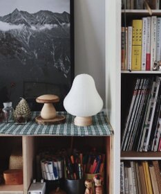 ちょうちん堂 【cocolan Muji】山 ちょうちん ライト