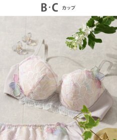 Wing Wing Lesiage　【2750シリーズ】ブラジャー　脇すっきり　ウイング／ワコール　PB2750