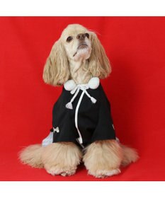 PET PARADISE ペットパラダイス 金糸紋付き袴 中型犬 大型犬