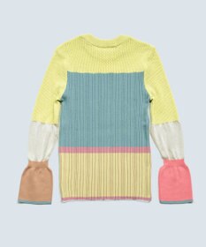 COQ CACTUS カラーブロックリブニット